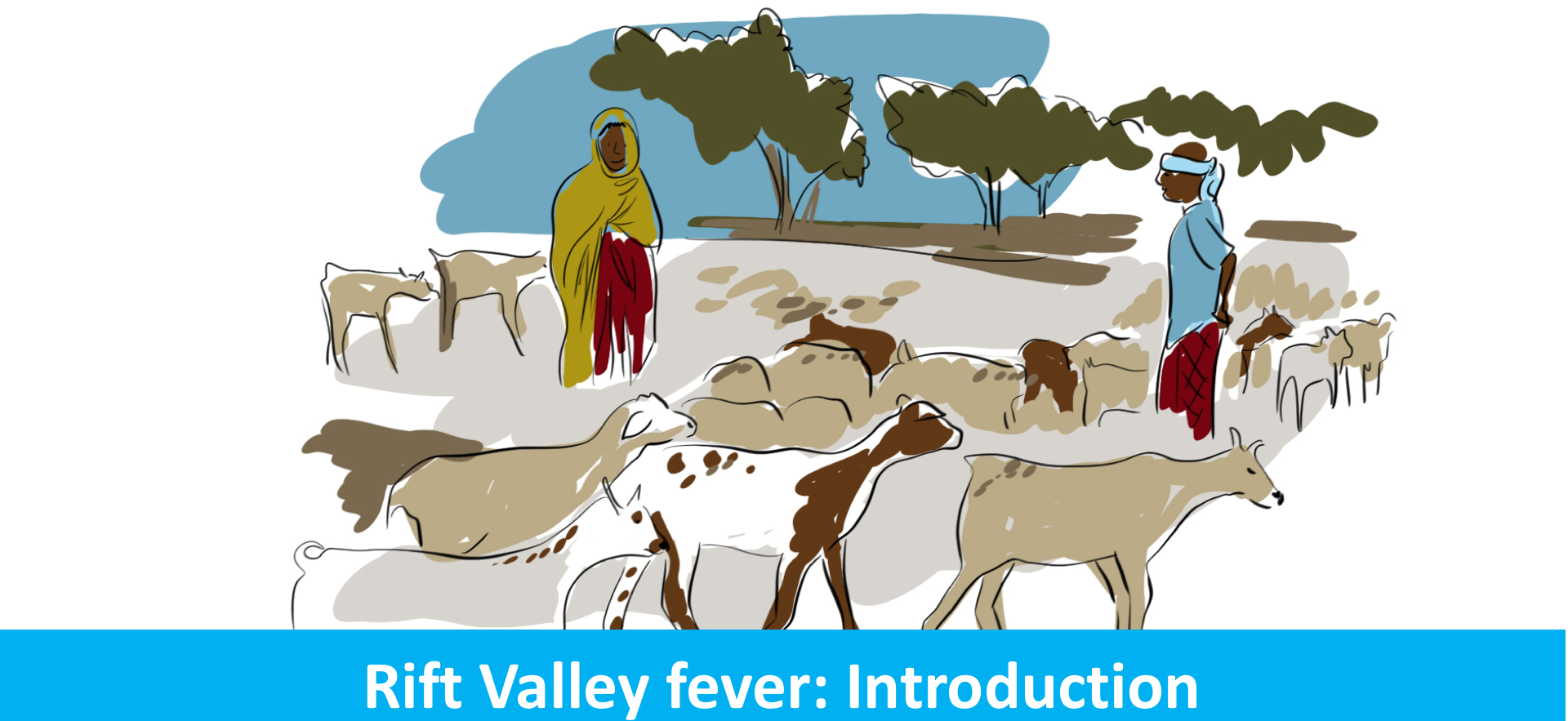 Rift Valley Fever Transmit & Symptoms